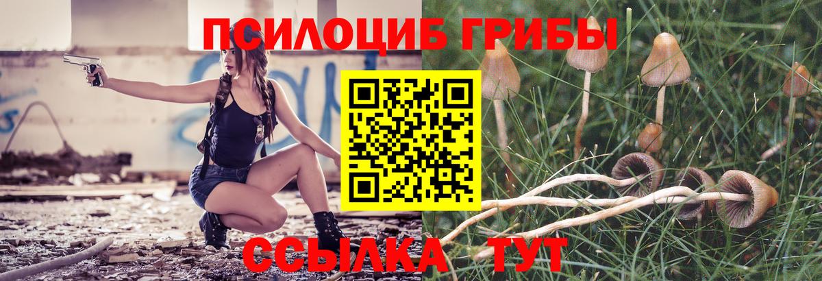 Мегион  наркота  Вход с VPN  Галлюциногенные грибы GOLDEN TEACHER 